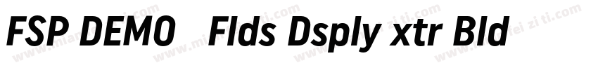 FSP DEMO   Flds Dsply xtr Bld Regul字体转换